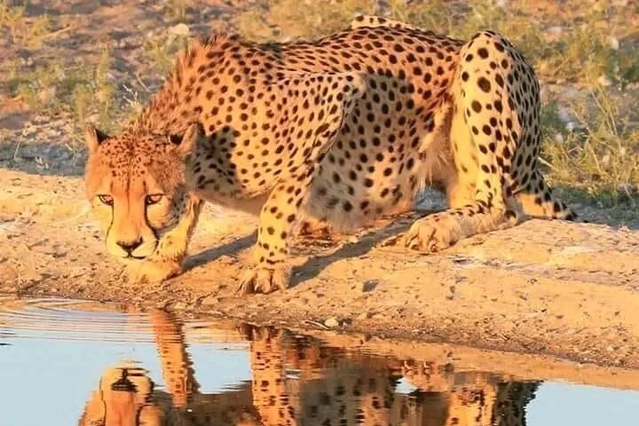 2 days Tarangire and Ngorongoro Group safari