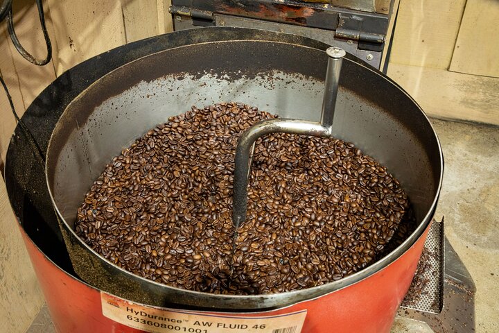 Authentic experience of Coffee, Cane and Caco inside the forest
