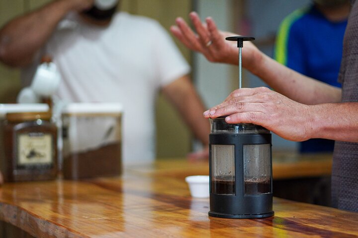 Authentic experience of Coffee, Cane and Caco inside the forest