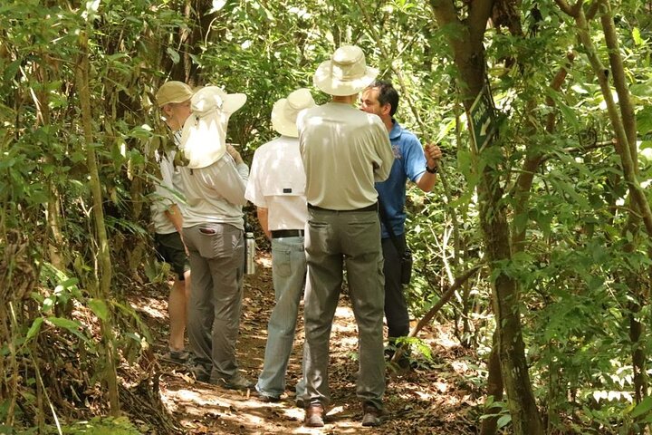 Authentic experience of Coffee, Cane and Caco inside the forest