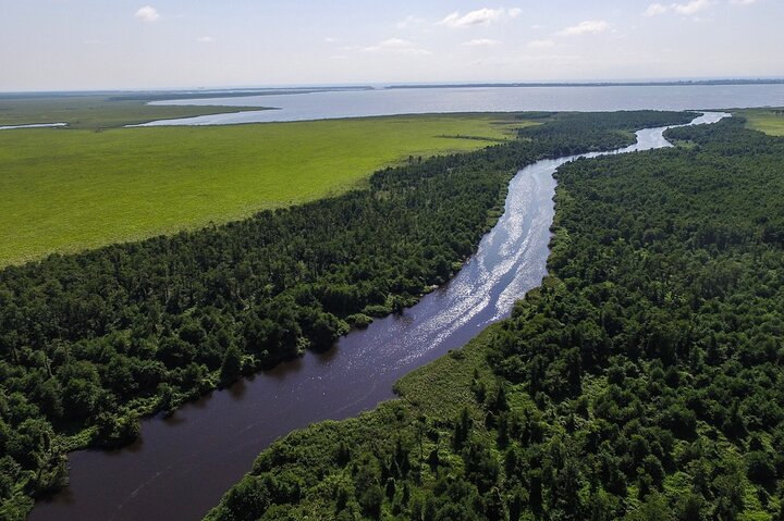 Discover the Georgian Amazon – Tour from Batumi