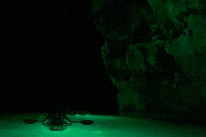Night Kayaking in Clear Kayaks | Glowing Waters & Stars
