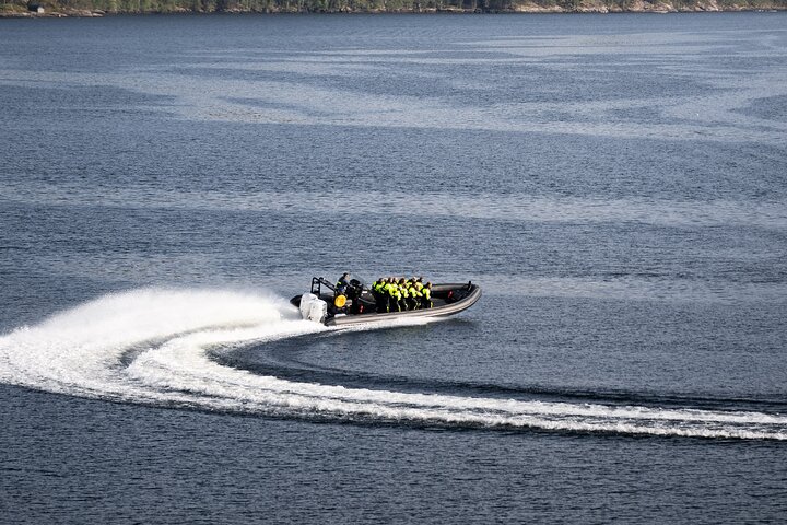 Hardangerfjord Ultimate RIB Safari from Ulvik
