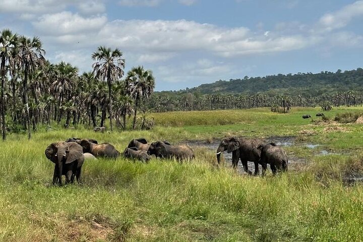 Ultimate Experience: 6-day, 5-night All-Inclusive Trip to Angola