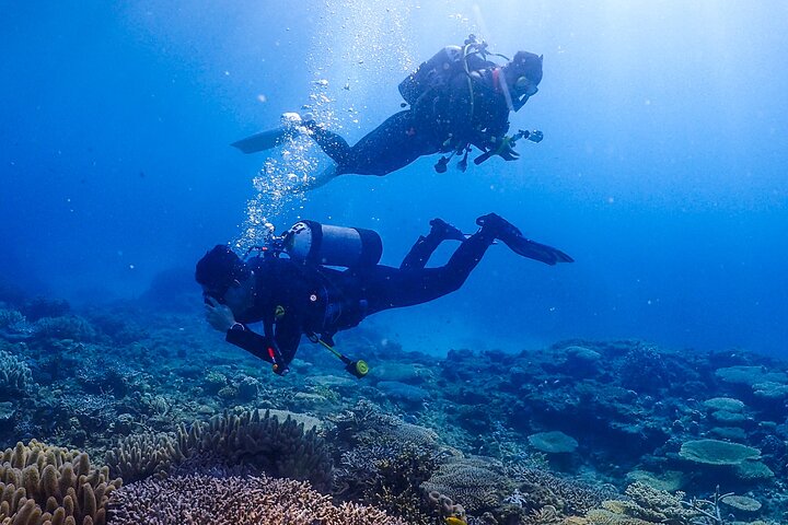 Okinawa Scuba Diving For Certified Divers (3 boat dives + Lunch)