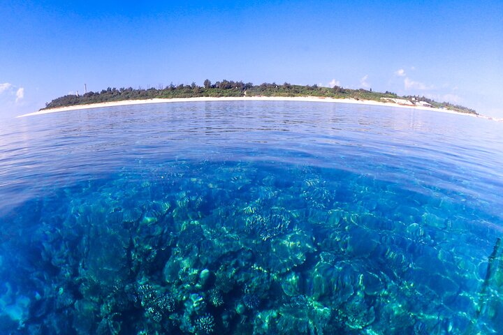Okinawa Scuba Diving For Certified Divers (3 boat dives + Lunch)