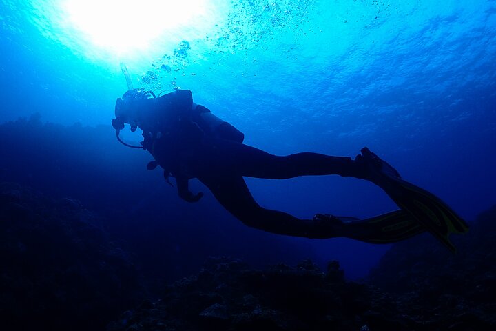Okinawa Scuba Diving For Certified Divers (3 boat dives + Lunch)