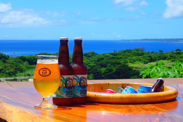 Okinawa Scuba Diving For Certified Divers (3 boat dives + Lunch)