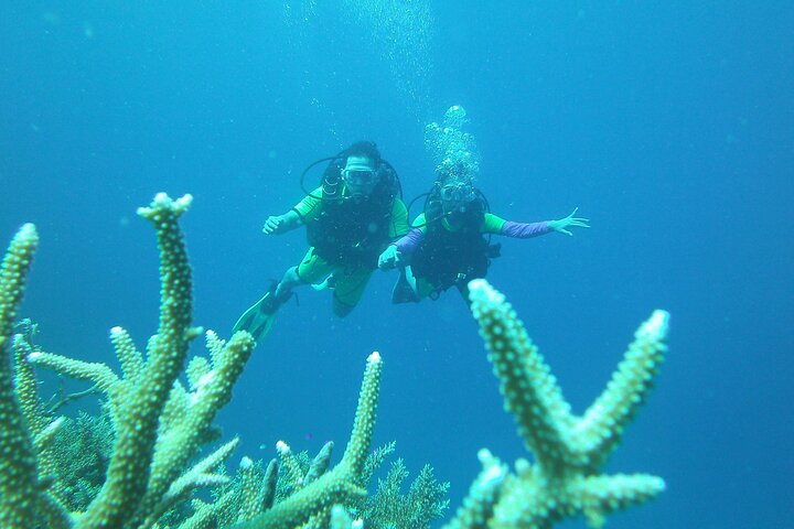 Discover Scuba Diving in Coron