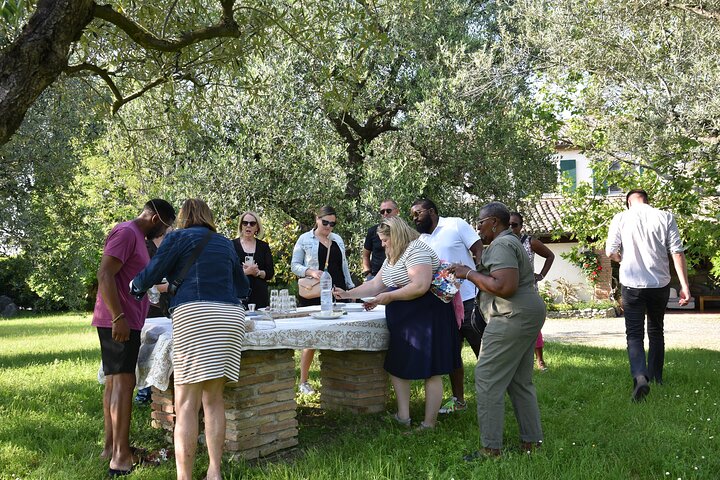 Cook Like a Local in San Marino Countryside
