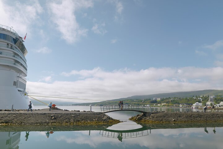 Lake Mývatn & Goðafoss Waterfall from Akureyri Port