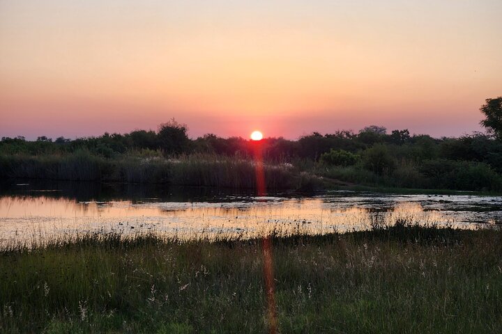 Safari Game Drive: Dinokeng Game Reserve