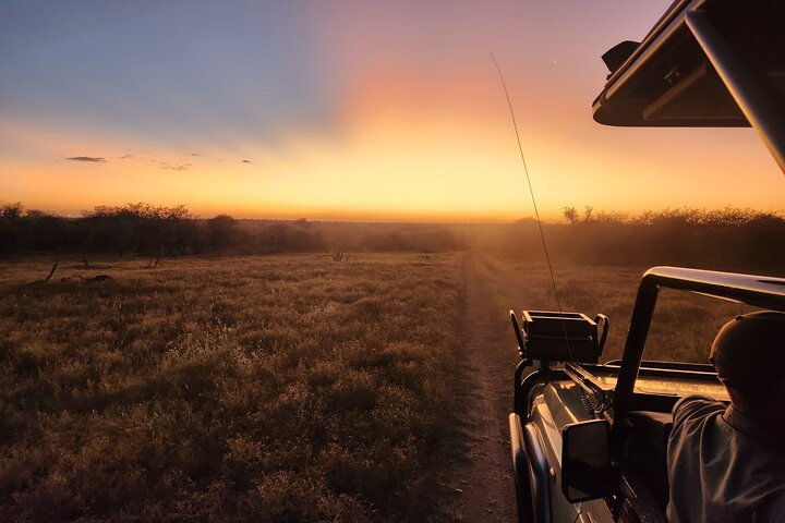Safari Game Drive: Dinokeng Game Reserve