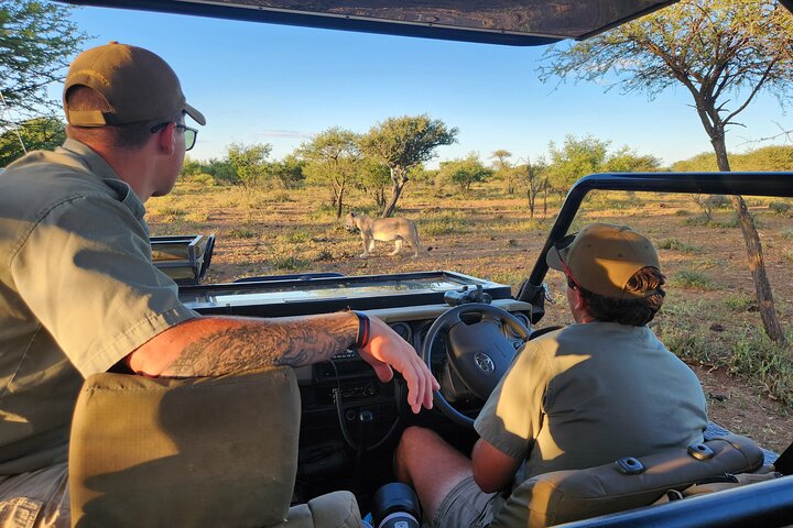 Safari Game Drive: Dinokeng Game Reserve