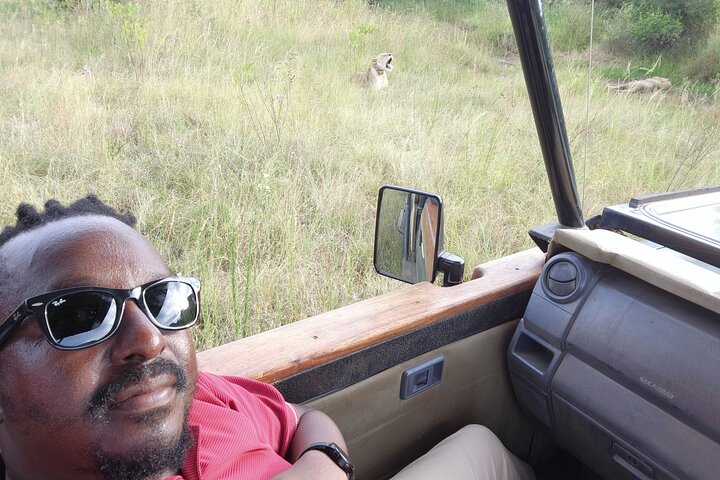 Safari Game Drive: Dinokeng Game Reserve