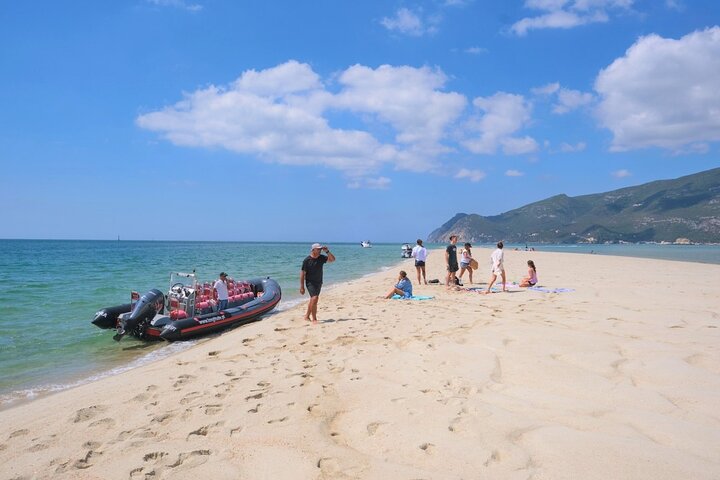 Dolphin watching in Setúbal