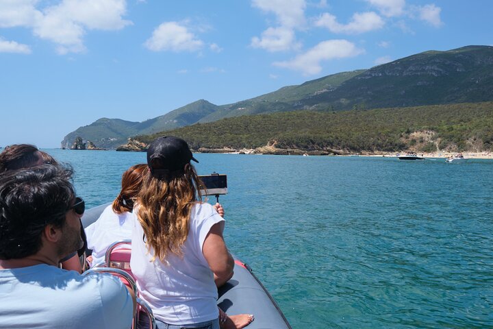 Dolphin watching in Setúbal