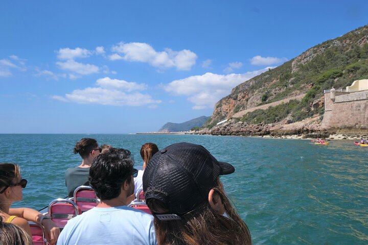 Dolphin watching in Setúbal