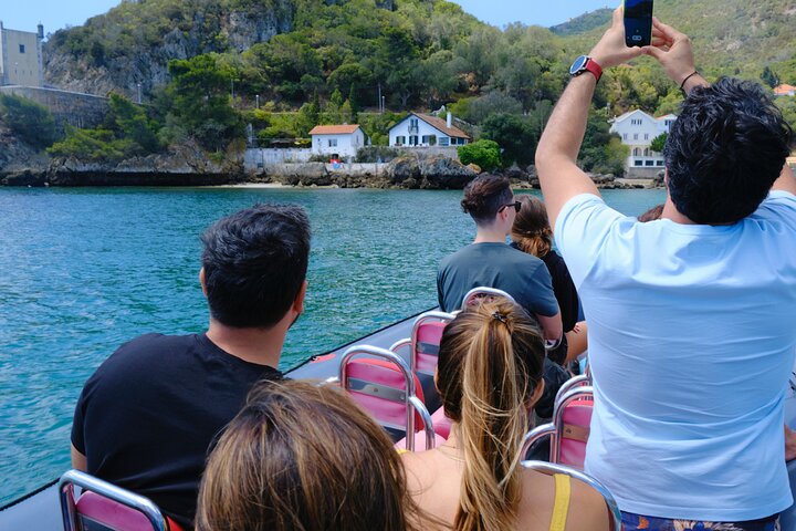Dolphin watching in Setúbal