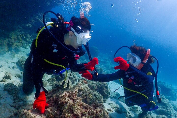2-Day Private Deluxe Certification Course for Scuba Diving