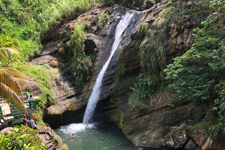 West Coast: Rum Distillery, Concord waterfall, Nutmeg processing