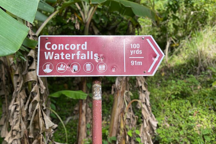 West Coast: Rum Distillery, Concord waterfall, Nutmeg processing