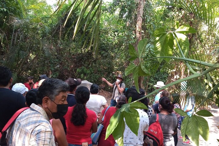 Guided Tour by the Olmec Stone Men