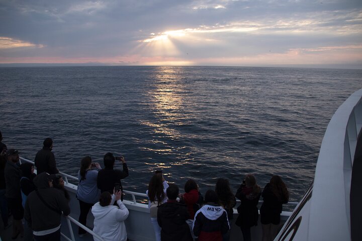 Monterey Whale Watching Tour