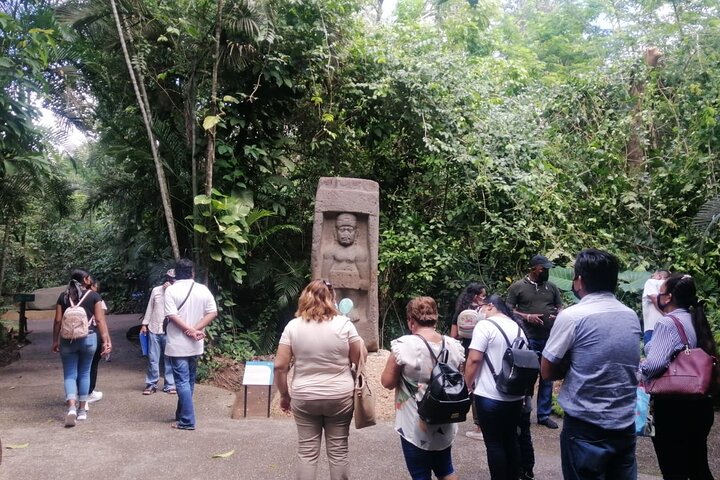 Guided Tour by the Olmec Stone Men
