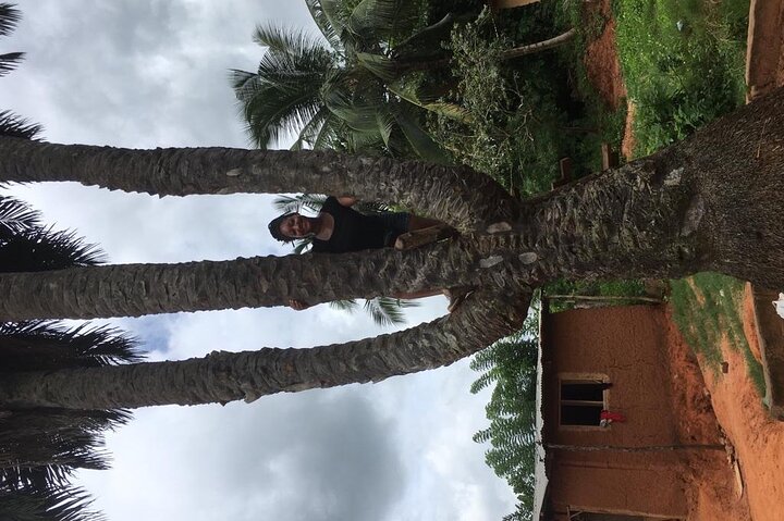 Waterfalls, Aburi Botanical Gardens & a Cocoa Farm Experience.