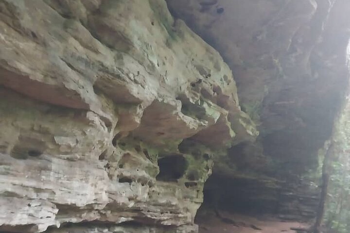 Waterfalls, Aburi Botanical Gardens & a Cocoa Farm Experience.