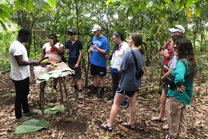 Waterfalls, Aburi Botanical Gardens & a Cocoa Farm Experience.