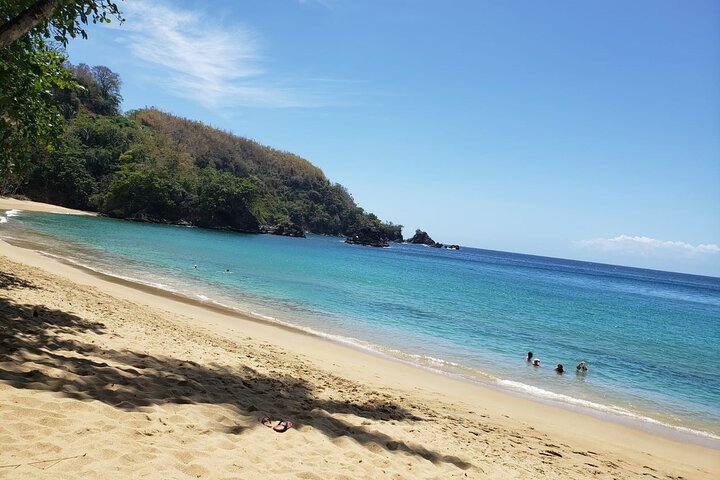Island Tours of Tobago