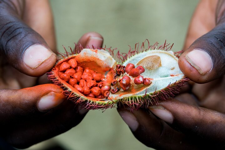 Zanzibar: Day Trip Stone Town, Spice Tour, Prison Island
