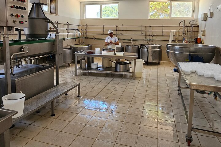 Mozzarella Experience - Cheese Tour and tastings to Masseria Fragnite