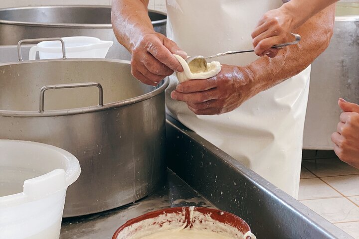 Mozzarella Experience - Cheese Tour and tastings to Masseria Fragnite