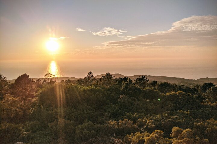 Private Sintra Tour Palaces and Coast by Vintage Car or Jeep