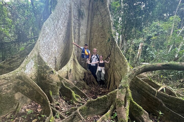 Iquitos: Amazon Adventure: Nature and Wildlife | 2 Days