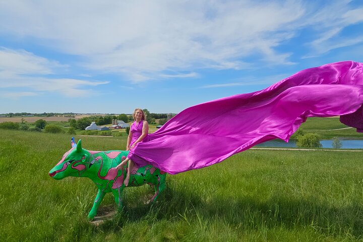 Flying Dress Photo Shoot in Madison WI