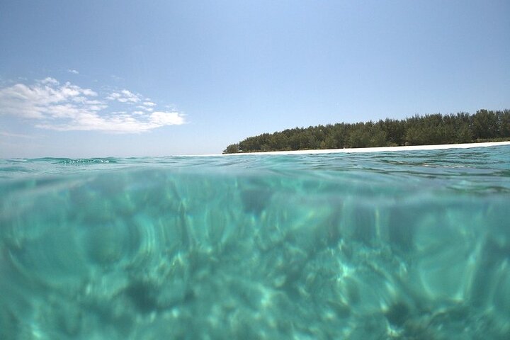 Zanzibar: Mnemba Snorkeling