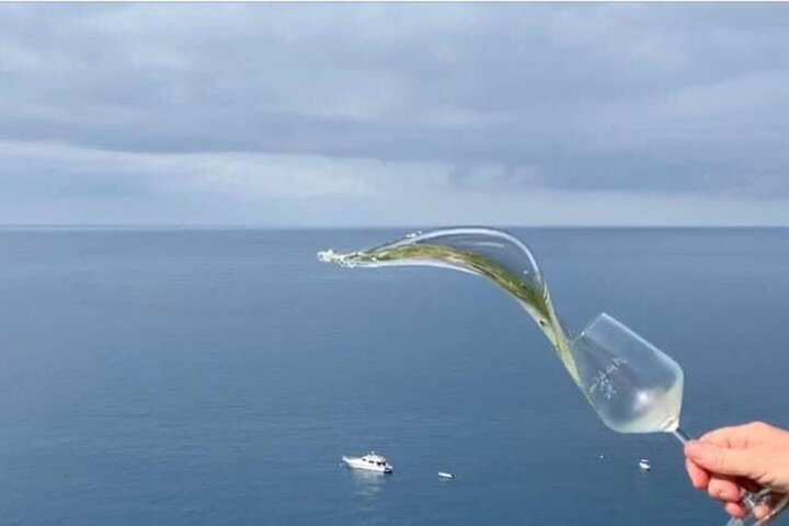 UNESCO Vineyards Tour & Wine Tasting in Manarola with a Sommelier