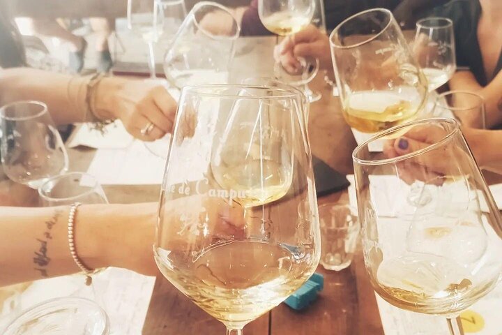 UNESCO Vineyards Tour & Wine Tasting in Manarola with a Sommelier