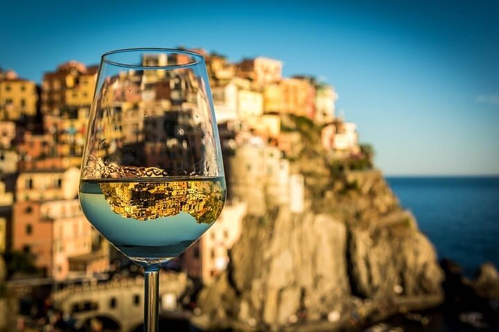 UNESCO Vineyards Tour & Wine Tasting in Manarola with a Sommelier
