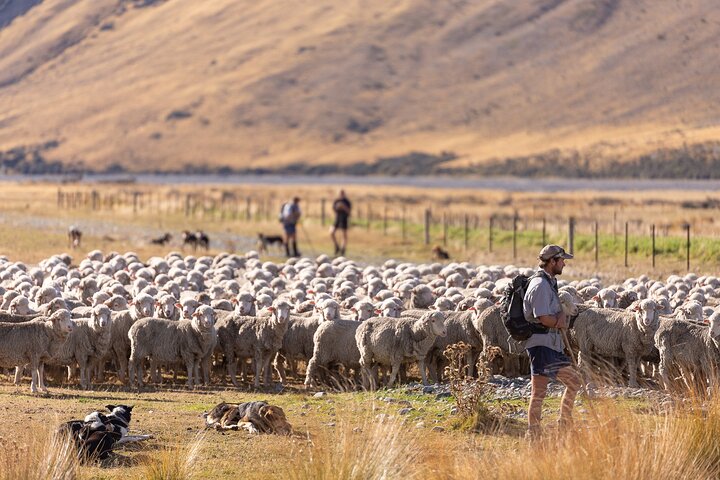 Lake Tekapo Scenic Wilderness Cass Valley Tour