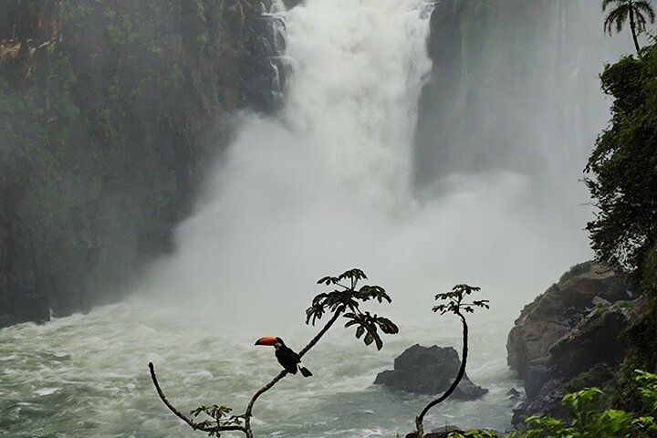 Private Tour: 2Day to Both Sides of Iguazu Falls