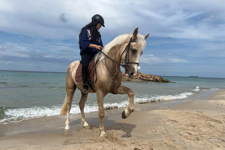 Horseback riding with private transfer