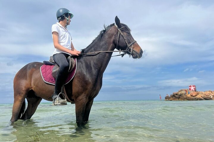 Horseback riding with private transfer