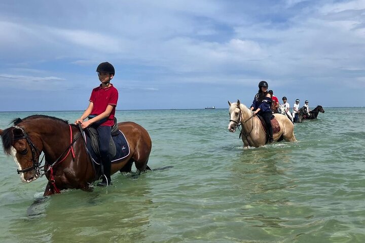 Horseback riding with private transfer