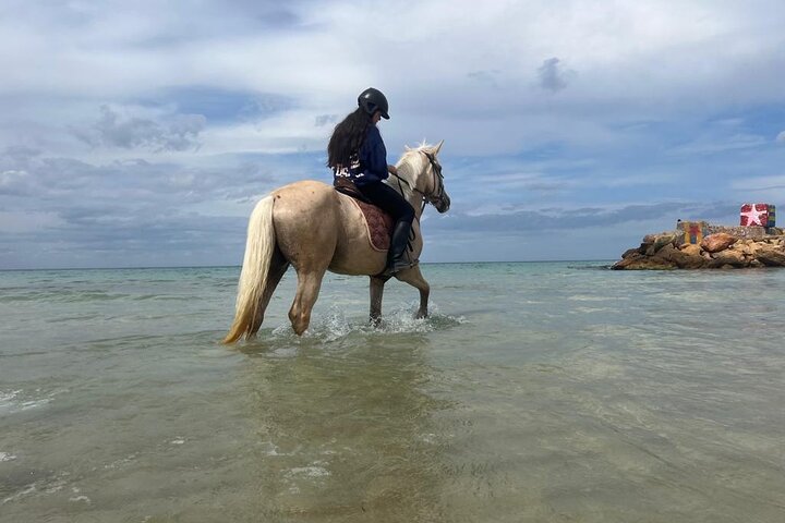 Horseback riding with private transfer