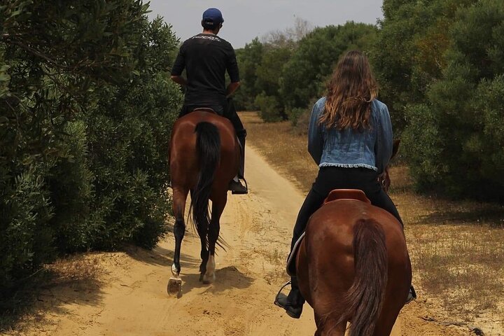 Horseback riding with private transfer